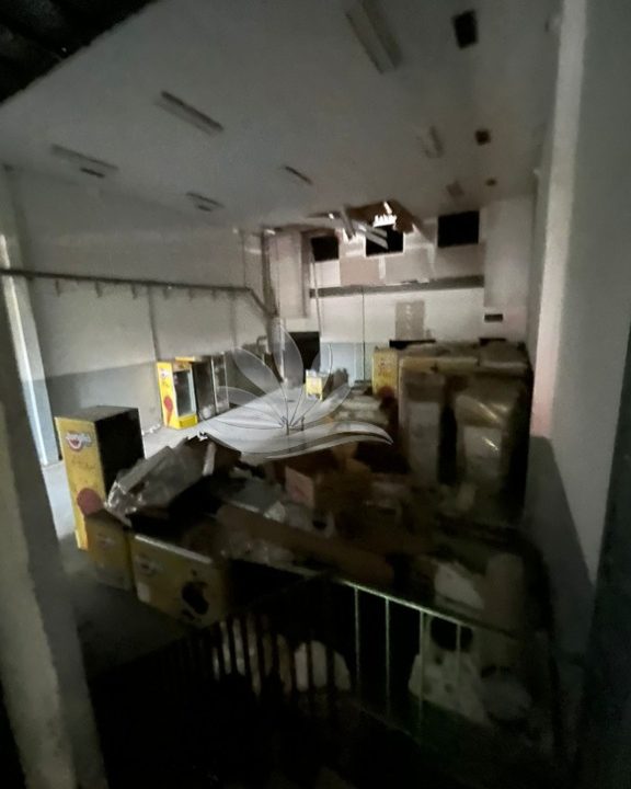 Imagem 3