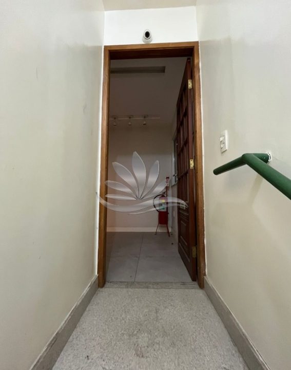 Imagem 6